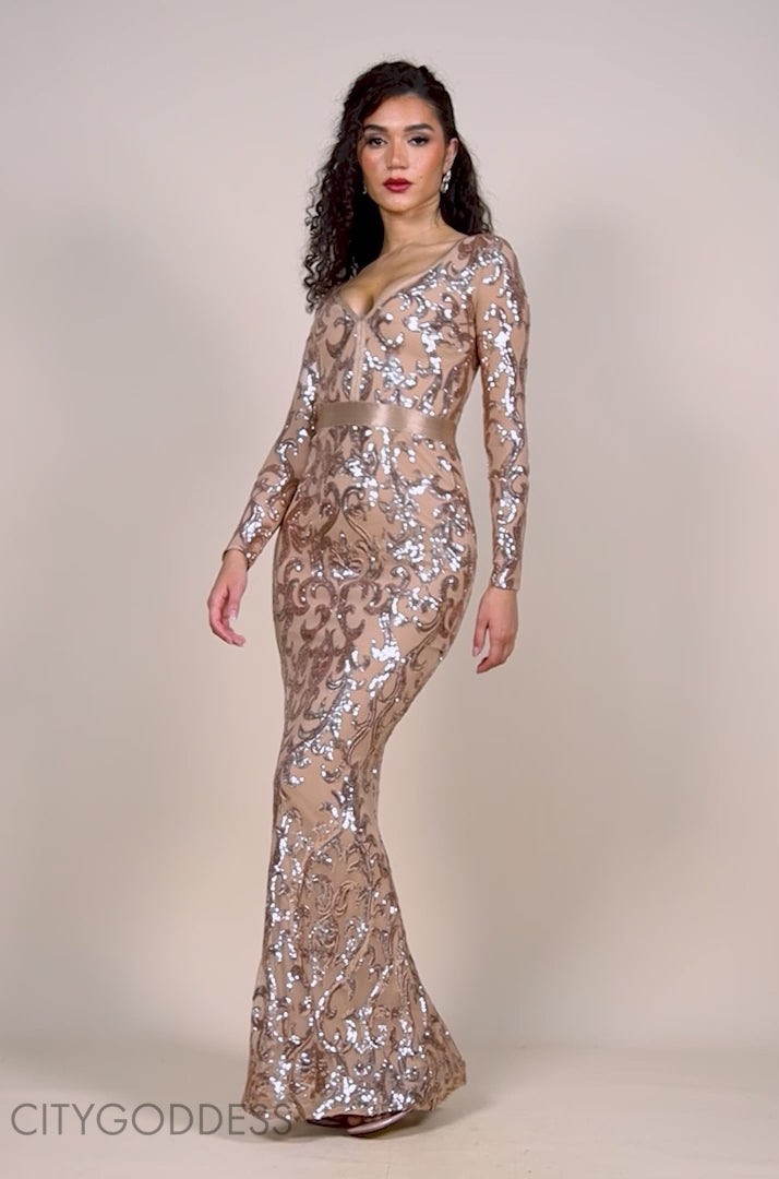 Embroidered Sequin & Mesh Maxi Dress DR2558