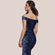 Bardot Sequin Velvet Maxi Dress DR4525